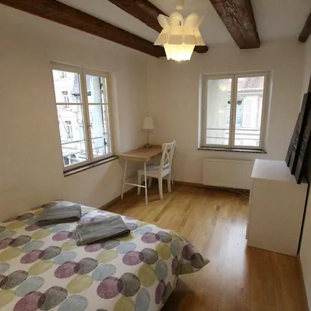 Historic Center - Alsacian Petite Venise 2 - Bookingalsace Appartement
