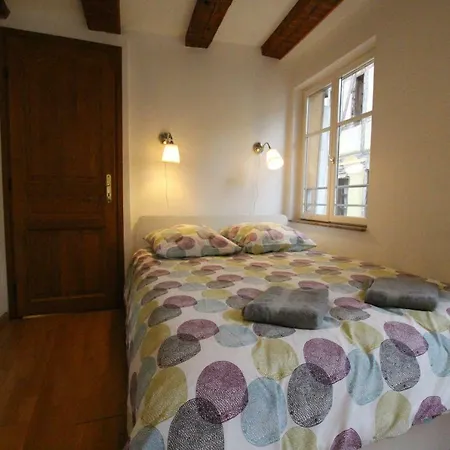 Historic Center - Alsacian Petite Venise 2 - Bookingalsace *
