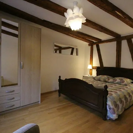 Historic Center - Alsacian Petite Venise 2 - Bookingalsace *