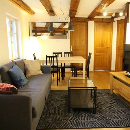 Historic Center - Alsacian Petite Venise 2 - Bookingalsace