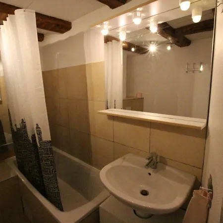 Historic Center - Alsacian Petite Venise 2 - Bookingalsace 아파트 *