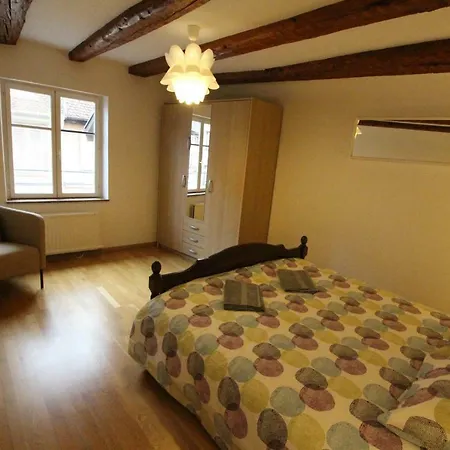 Historic Center - Alsacian Petite Venise 2 - Bookingalsace 콜마