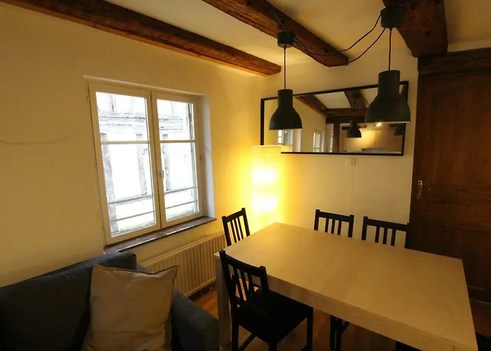Historic Center - Alsacian Petite Venise 2 - Bookingalsace * コルマール