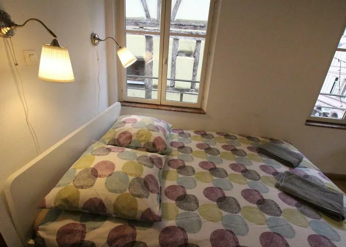 Daire Historic Center - Alsacian Petite Venise 2 - Bookingalsace Colmar