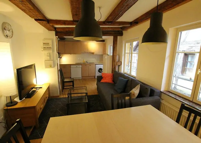 Daire Historic Center - Alsacian Petite Venise 2 - Bookingalsace *