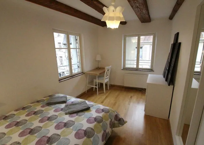 Historic Center - Alsacian Petite Venise 2 - Bookingalsace Daire