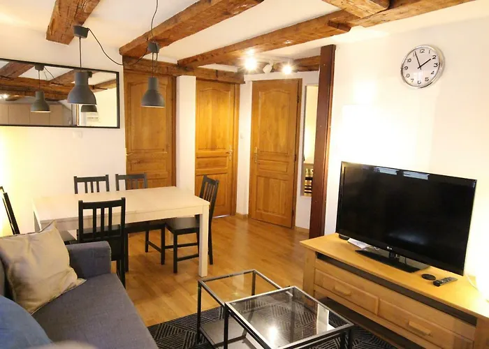 Daire Historic Center - Alsacian Petite Venise 2 - Bookingalsace Colmar