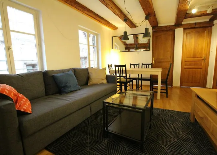 Historic Center - Alsacian Petite Venise 2 - Bookingalsace Daire Colmar