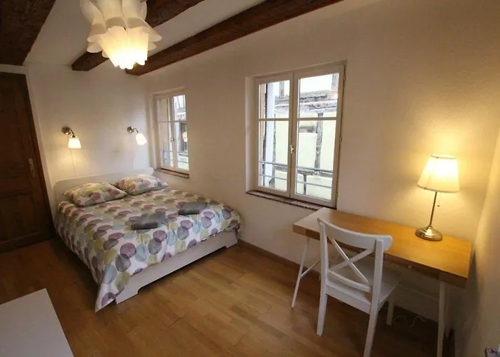 Daire Historic Center - Alsacian Petite Venise 2 - Bookingalsace *