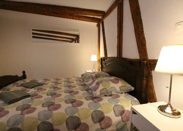 Daire Historic Center - Alsacian Petite Venise 2 - Bookingalsace