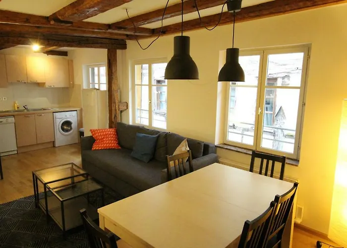 Daire Historic Center - Alsacian Petite Venise 2 - Bookingalsace *