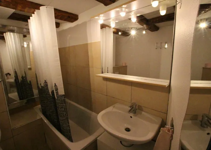 Historic Center - Alsacian Petite Venise 2 - Bookingalsace Daire *
